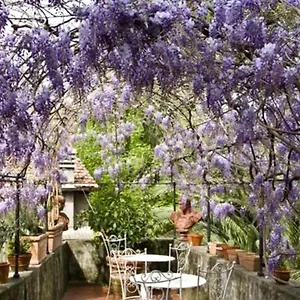 Locanda Sant' Agostino Lucca